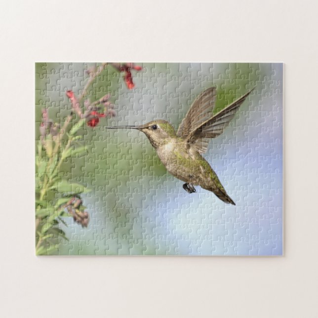 Colibrí en vuelo con rompecabezas florido (Horizontal)