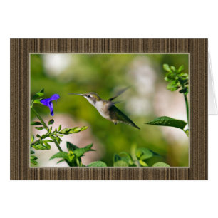 Colibrí enmarcado
