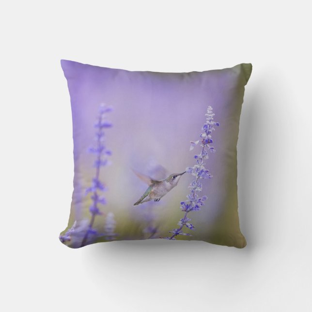 Colibrí entre la almohada de la Lavanda (Anverso)