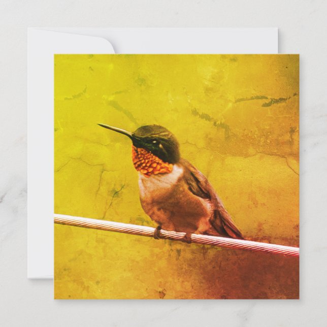 Colibrí Gracias (Anverso)
