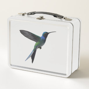 Colibrí Minimalista