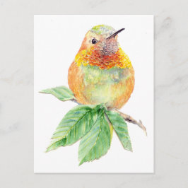 Colibrí, Pájaro, Naturaleza, Vida salvaje, postal
