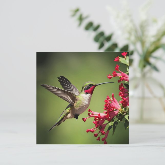 Colibrí Precioso (Anverso de pie)