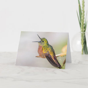 Colibrí que habla la tarjeta de felicitación en