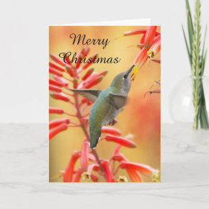 Colibrí rodeada de yuca, Feliz Navidad