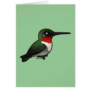 colibrí Rubí-throated