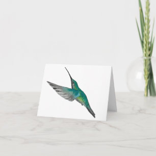 Colibrí verde turquesa