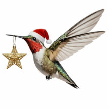Colibrí y adorno de Navidad de estrella dorada par