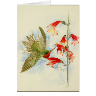 Colibrí y flores rojos
