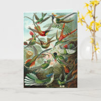 Colibríes de Bellas Artes Tarjeta de Cumpleaños Pe