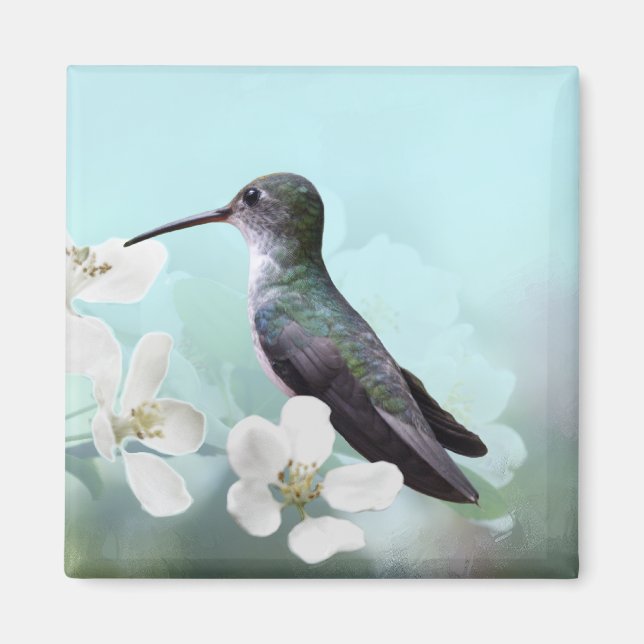 Colibríes Imanes (Frente)
