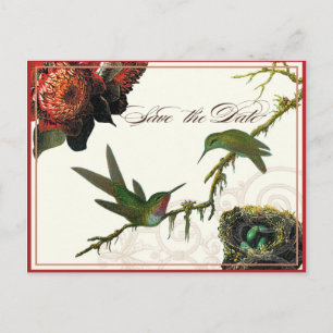 Colibríes Protea Rojo - Tarjeta de Reserva de Fech