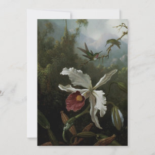 Colibríes y Orquídea Blanca por Martin J. Heade