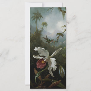 Colibríes y Orquídea Blanca por Martin J. Heade