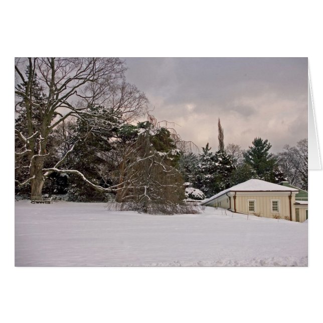 Colina de la onda en invierno (Anverso (Horizontal))