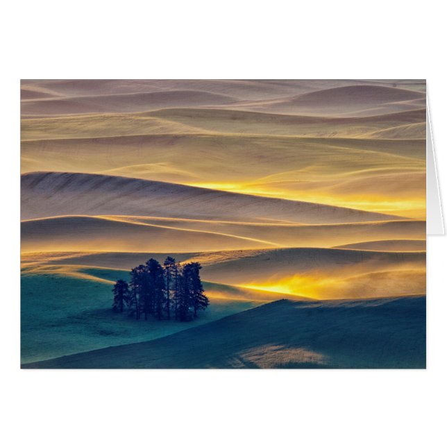Colinas onduladas de trigo al amanecer | WA (Anverso (Horizontal))