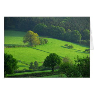 Colinas verdes