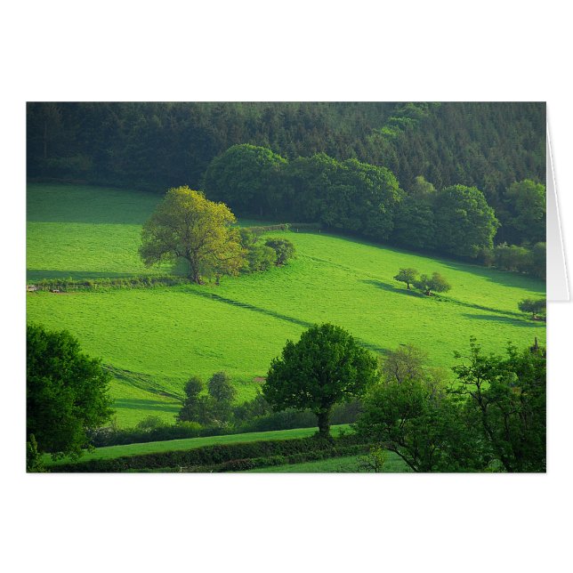 Colinas verdes (Anverso (Horizontal))