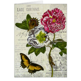 Collage bonito del vintage