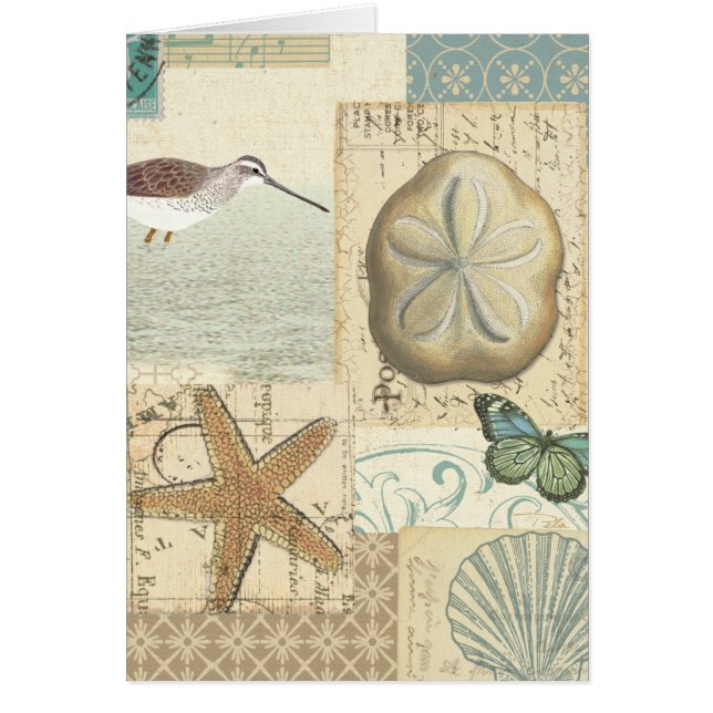 Collage costero (Frente)