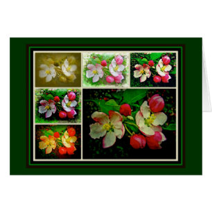 Collage de Apple Blossom - Foto digital mejorada