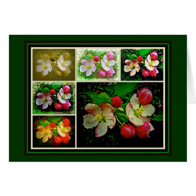 Collage de Apple Blossom - Foto digital mejorada (Anverso (Horizontal))