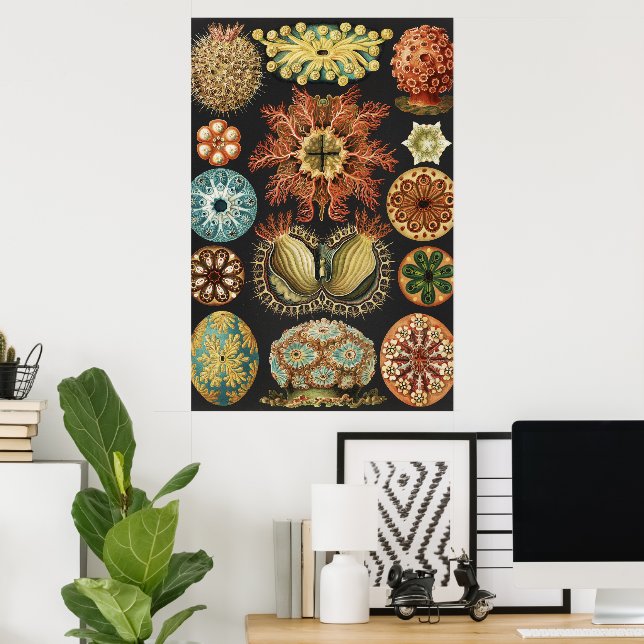 Collage de Arte de Vida Marina Náutica de Ernst Ha (Oficina en casa)