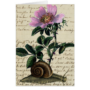 Collage de arte digital de caracoles y flores