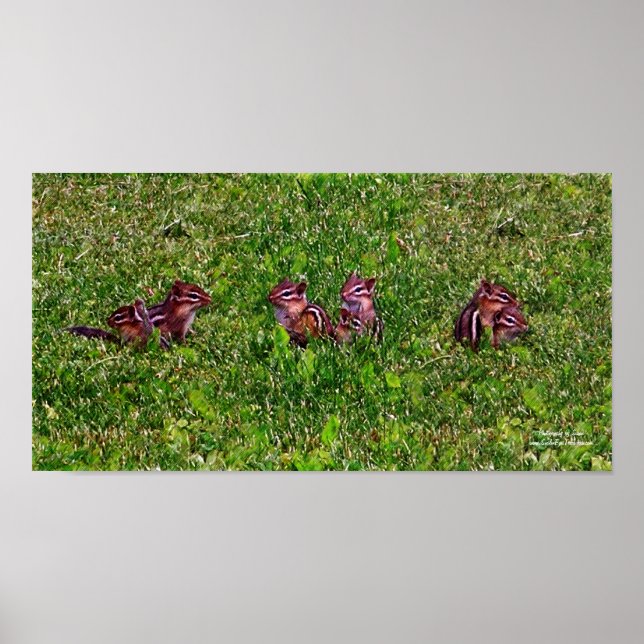 Collage de Baby Chipmunks 1 Poster de Arte con Láp (Frente)