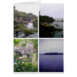 Collage de Cape Flattery