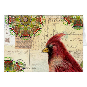 Collage de cardenal y efímeras