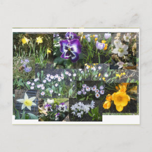 Collage de Flores de Primavera Coloridas Tarjeta P