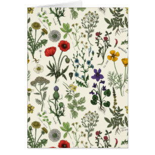 Collage de flores silvestres