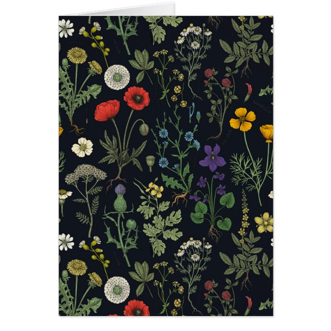 Collage de flores silvestres (Frente)