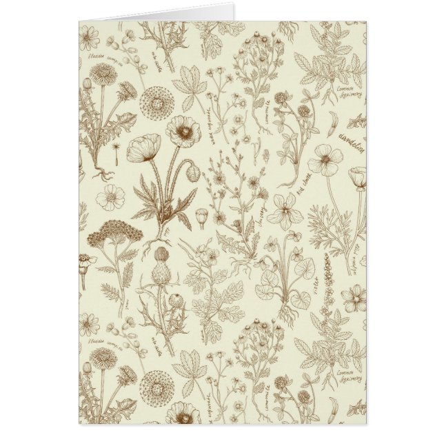 Collage de flores silvestres/ beige y sepia (Frente)