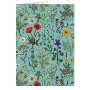 Collage de flores silvestres sobre azul
