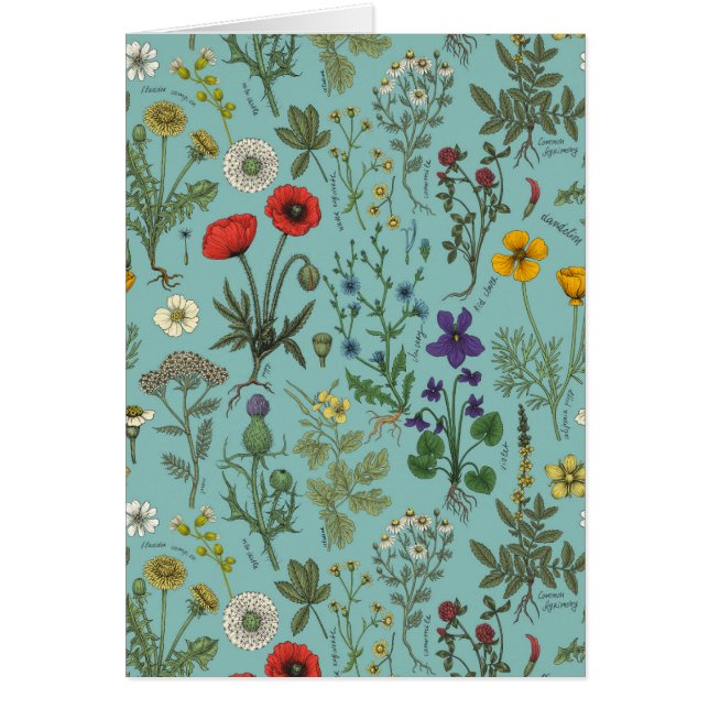 Collage de flores silvestres sobre azul (Frente)