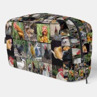 Collage de fotos de gallo de pollo, bolsa de artíc