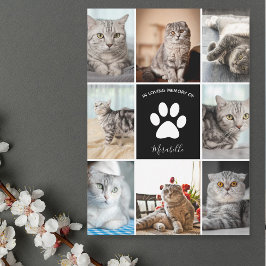 Collage de fotos de gato en tarjeta de Personaliza