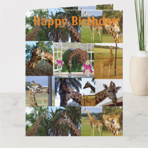 Collage de fotos de jirafa, tarjeta de cumpleaños