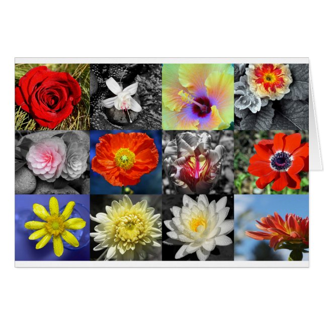 Collage de fotos de las flores de amor (Anverso (Horizontal))