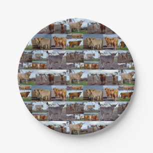Collage de fotos de vaca de las Highlands, platos