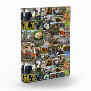 Collage de fotos de vida de la granja,