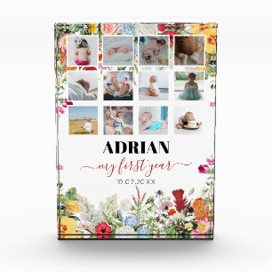 Collage de fotos del primer año del Floral Garden 