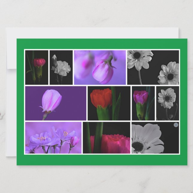 Collage de fotos elegante y lindo sobre Kelly Gree (Anverso)