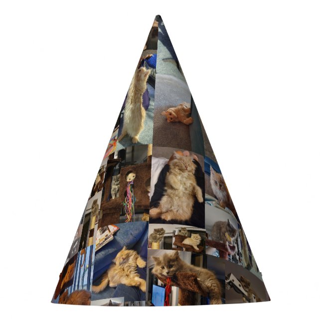 Collage de fotos gatito, Gorras Fiestas (Anverso)