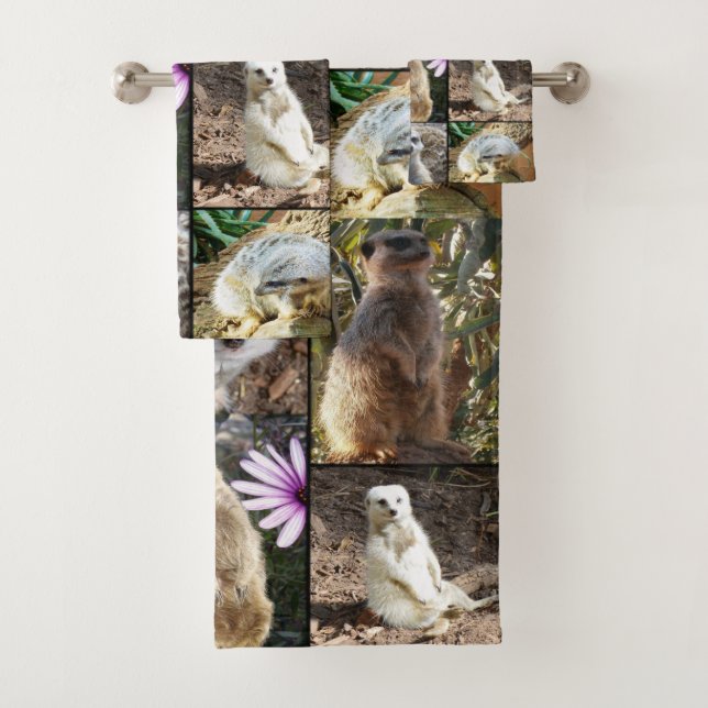 Collage de fotos Meerkat, (In situ)