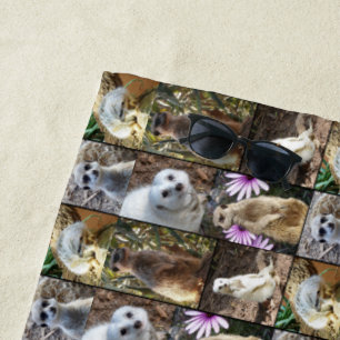 Collage de fotos Meerkat, toalla de playa