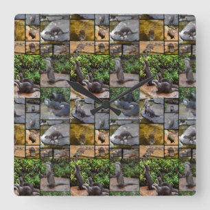 Collage de fotos Otter, reloj de pared cuadrado.