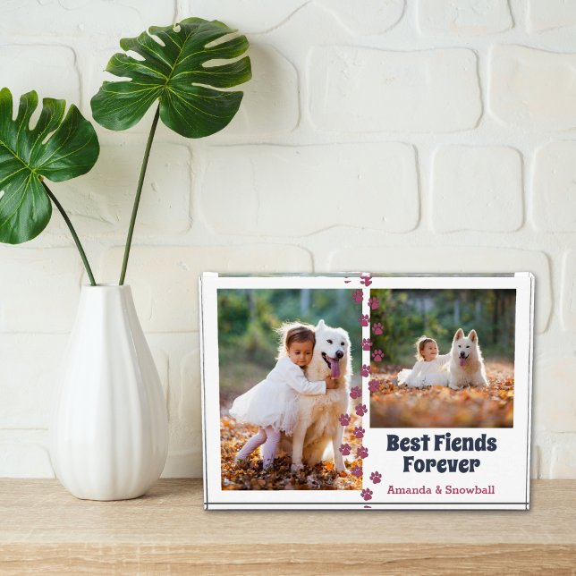Collage de fotos Perro mejores amigos para siempre (Subido por el creador)